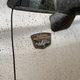 Image for article titled The 2022 Subaru Forester Wilderness Is An Off-Road Adventure Underdog